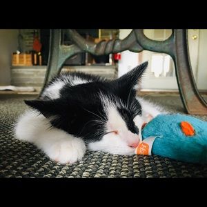 Meet your Posher, Andreea